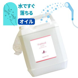 【送料無料（全国一律）】FaNoil Light 水溶性マッサージオイル ライト 5L 無香料 グリセリン プロ 業務用 ノイル ファンオイル レディース メンズ エステ サロン メンエス 施術 つめかえ 容器 リンパドレナージュ ホットオイル ※ヤマト運輸倉庫発送 クロネコヤマト宅急便