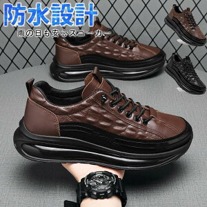 Xj[J[ Y h J  y Jp jp hV[Y  ʋ ʊw EH[LOV[Y ^C  WMO