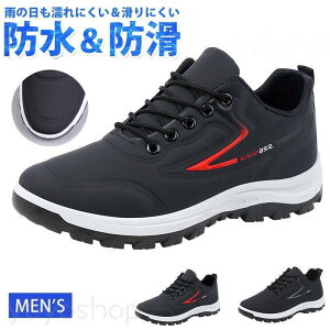 Xj[J[ Y h J  y Jp jp hV[Y  ʋ ʊw EH[LOV[Y JWAV[Y ^C WMO 