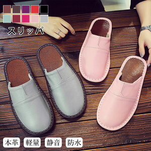 Xbp [V[Y fB[X Y v {v  i qp   jp y É h ʋC ɂ I[V[Y  ItBX z E 