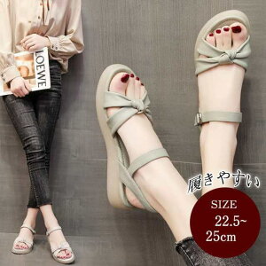 T_ fB[X ~[  T}[T_ r[`T_ EGbW\[ JWA ₷ 