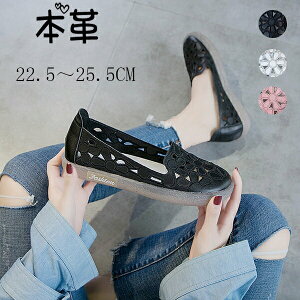 T_ pvX {v T}[u[c fB[X u[cT_ pvX C V[Y _炩 ₷ y   ėp V 