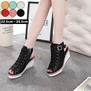  T_ T_ RtH[gT_ Xj[J[T_ X|[cT_  ɂȂ ₷  ɂȂ JWA Xj[J[ fB[X ďt V[Y 