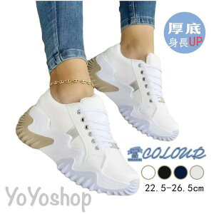 Xj[J[ fB[X C X|[cV[Y V[Y ~ r r ₷ ȂgUP Ȃ V[Y {A ؍ ʋΌC