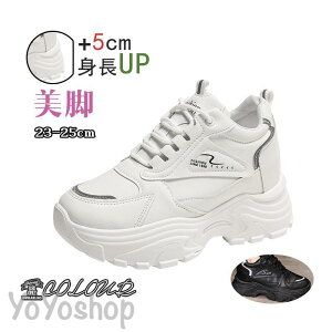 2023Xj[J[ fB[X C X|[cV[Y V[Y ~ r r ₷ Ȃ ɂȂ ʋC Vv ʋ ʊw 