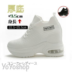 2023Xj[J[ fB[X C X|[cV[Y V[Y ~ r r ₷ Ȃ ɂȂ ʋC Vv ʋ ʊw 