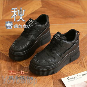 2023Xj[J[ fB[X C X|[cV[Y V[Y ~ r r ₷ Ȃ ɂȂ Vv ʋ ʊw 