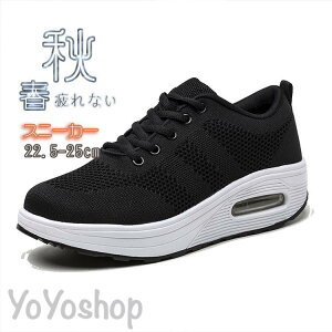 2023Xj[J[ fB[XY C X|[cV[YV[Y ~ 20 3040 ₷ Ȃ ɂȂ ʋC Vv ʋ ʊw 