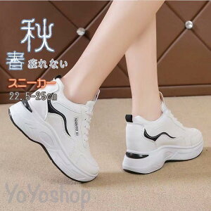 2023Xj[J[ fB[X C X|[cV[Y V[Y ~ r r ₷ Ȃ ɂȂ Vv ʋ ʊw 