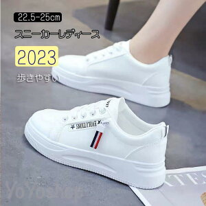 2023Xj[J[ fB[X C X|[cV[Y V[Y ~ r r ₷ Ȃ ɂȂ Vv ʋ ʊw 