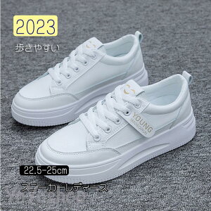 2023Xj[J[ fB[XY C X|[cV[YV[Y ~ 20 3040 ₷ Ȃ ɂȂ ʋC Vv ʋ ʊw 