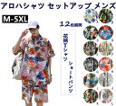 夏 アロハシャツ セットアップ メンズ 半袖 シャツ ショートパンツ 上下セット 花柄 Tシャツ ハーフパンツ 2点セット 短パン ビーチシャツ プリント ハワイシャツ カジュアル 通気性 軽量 旅行 海辺 大きいサイズ おしゃれ ジャージ YOYO