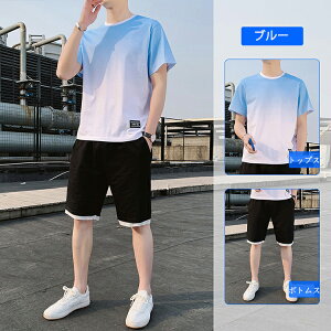 2022V ZbgAbv Y W[W㉺  100  TVc n[tpc ㉺Zbg Of[V gbvX X|[cEFA JWA  ؍  lC 傫TC