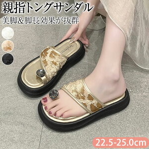 fB[X T_   fB[X gOT_ fB[X r[`T_   ew gOT_   fB[X LL T_ Xbp t