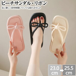  r[`T_ fB[X r[`T_ {tbg  T_ ؂񂱃r[`T_ Xgbv fB[X ɂȂ { 傫TCY TCY y [