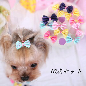 wAs  10_Zbg pwAANZT[ wA{ ybg ybgwA ANZT[  ybgT ybg{ p Lp 傤 ybg ybgpi 킢 