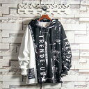 メンズ パーカー おしゃれ 春秋 プルオーバー メンズ パーカー ブランド トップス 大きい サイズ 人気 メンズ パーカー 冬 長袖 スウェットパーカー 韓国風 カジュアル おしゃれ パーカー 大きい サイズ ビッグパーカー メンズファッション オシャレ カジュアル 送料無料