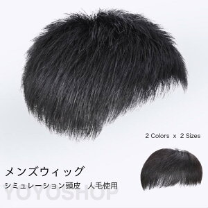  Y EBbO R GNXe Zt l EBbO j ё΍ Jc V[g