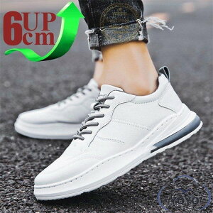  gAbv6cm V[NbgV[Y up6cm wȂ Y Xj[J[ V[NbgV[Y Cq[ K JWAV[Y amC