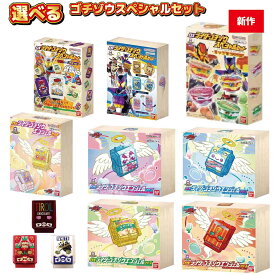 DXライダーゴチゾウエンジェルセット ラッピング対応 仮面ライダーガヴ DXライダーゴチゾウスペシャルセット バンダイ