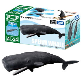 アニア AL-34 マッコウクジラ（水に浮くVer.） ギフト 誕生日 プレゼント  3歳 4歳 5歳