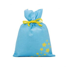 スターギフトバッグ 不織布（約）23x34cm 水色 星 SSサイズ クリスマスラッピング 巾着袋 おもちゃ 子供 リボン 簡単 マチあり かわいい