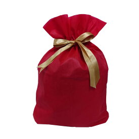 ギフトバッグ 不織布 （約）52x65cm 赤 Mサイズ クリスマスラッピング 巾着袋 おもちゃ 子供 リボン 簡単 マチあり かわいい トイザらス限定