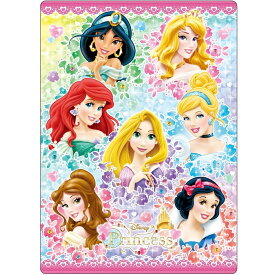 楽天市場 下敷き ディズニープリンセス クリアランス の通販
