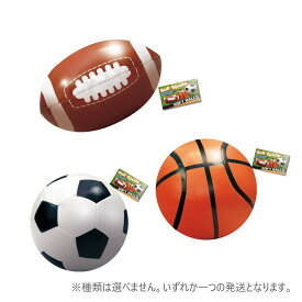 楽天市場 トイザらス サッカーボールの通販