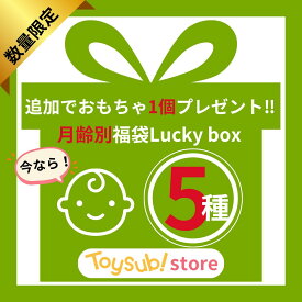 Lucky box/お楽しみ5種/数量限定/知育玩具/人気/おもちゃ/おすすめ/男の子/女の子/0歳/1歳/2歳/プレゼント/福袋/中古/セール/プレゼント