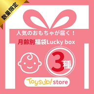 【福袋】Lucky box お楽しみ3種 数量限定 知育玩具 人気 おもちゃ おすすめ 男の子 女の子 0歳 1歳 2歳 …