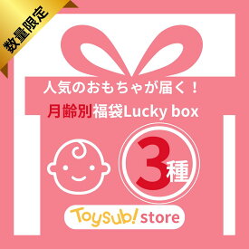 【福袋】Lucky box お楽しみ3種 数量限定 知育玩具 人気 おもちゃ おすすめ 男の子 女の子 0歳 1歳 2歳 プレゼント 福袋 中古