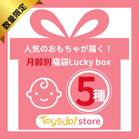【福袋】Lucky box お楽しみ5種 数量限定 知育玩具 人気 おもちゃ おすすめ 男の子 女の子 0歳 1歳 プレゼント 福袋 中古