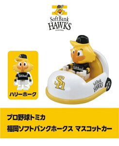 [rW^[p] \tgoN }XRbgJ[ v싅g~J 2025