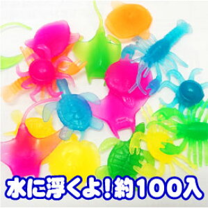 yl`zy[։zt[eBO 100Zbg