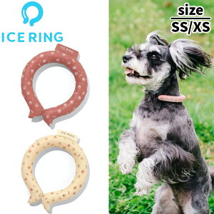 �y�N�[�������O�z�y���[���։zFO�C���^�[�i�V���i�� ICE RING �A�C�X�����O �y�b�g�p �y�A�C�{���[ ���b�h�z