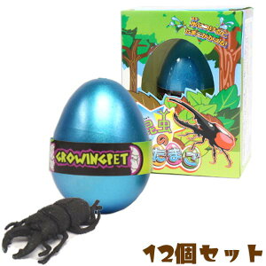 【卵のおもちゃ】【セット】昆虫のたまご 12個セット