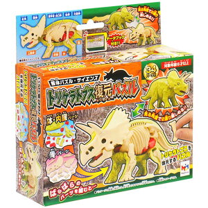 ỹpYzy]gzKnEX ̃pY TCGX gPgvX pY