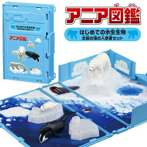 yAjAzytBMAz^Jg~[ AjA} ͂߂Ă̐ kɂ̊C̐lC҃Zbg yzbLNO} zbLNNW ASqQAUVz