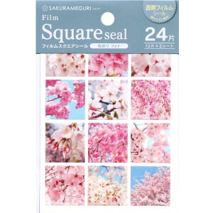 yV[zy[։z SB tBXNGAV[ tHg 24 {