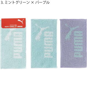 yv[}zy[։zANeBbN PUMA v[} v`^I2P PUMA-361 100 10×20cm S3