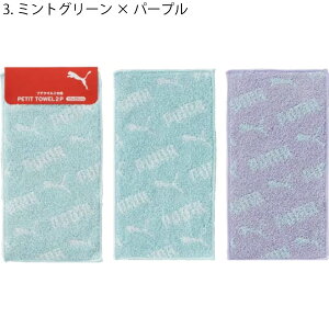 yv[}zy[։zANeBbN PUMA v[} v`^I2P PUMA-362 100 10×20cm yz