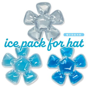 y΍ObYzy[։zICE PACK FOR HAT Xqpۗ yFwsz