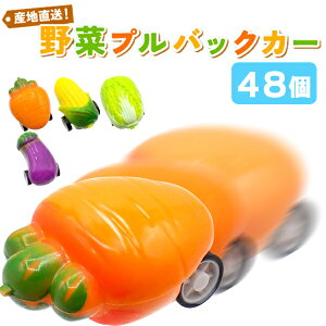 �y�~�j�J�[�z�y�܂Ƃߔ����z�I���W�i�� �Y�n�����I��؃v���o�b�N�J�[ 48�Z�b�g (sy4734)