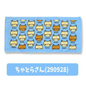 y^Izy[։zIN^j  tFCX^I 34 × 75cm Rbg100 S8 yƂ炳 ݂˂ ₫ ߂u[ ՂςsN 