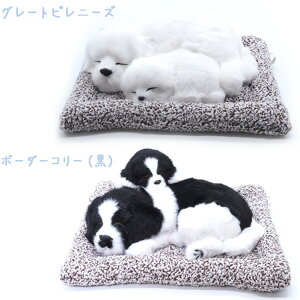 yʂ݁zyCkzCtBjeB ˂ނ񂿂eq S9 yS[fgo[ R[M[ r[O LoA VxAnXL[ Čij O[gEsj[Y {[