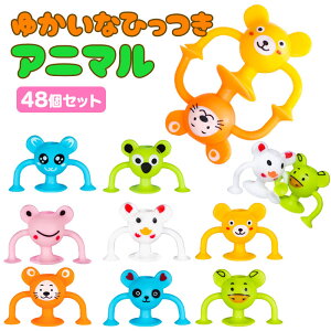 yObYzy܂ƂߔzIWi 䂩ȂЂAj} 48Zbg (sy4770)