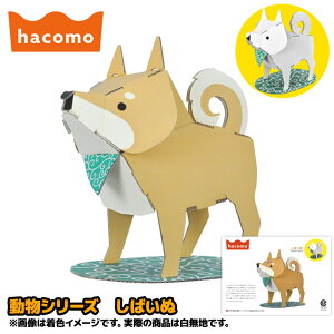 y_{[HLbgzy[։z_{[H V[Y ΂