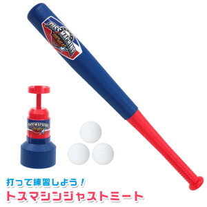 yX|[cgCzy싅zrcHƎ gX}VWXg~[g