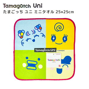 y܂zy[։zo_C ܂ ~j^I 25×25cm 畿